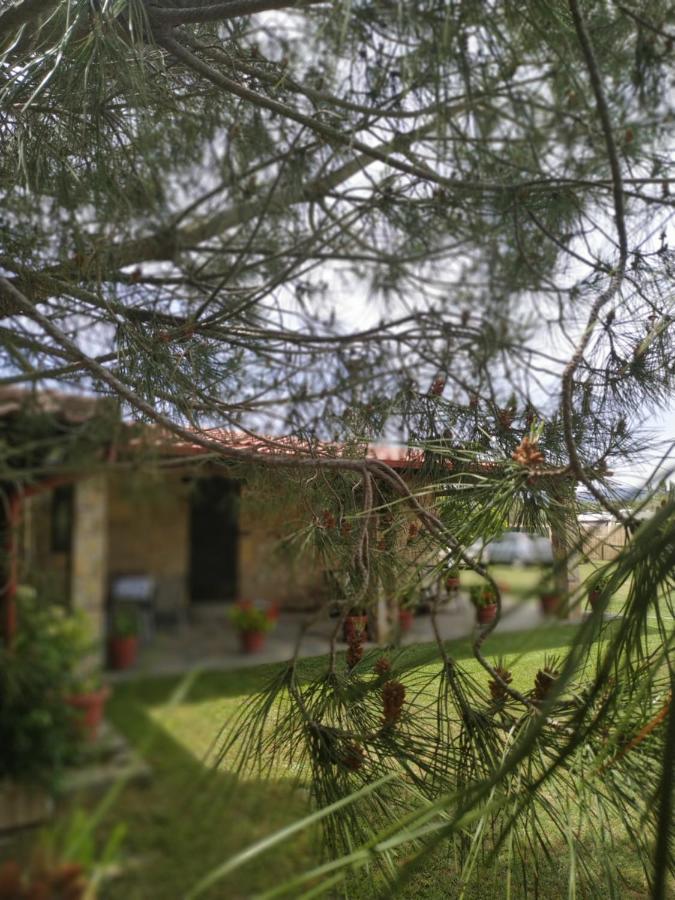 Konaki Guesthouse 奥马斯帕纳吉亚斯 外观 照片